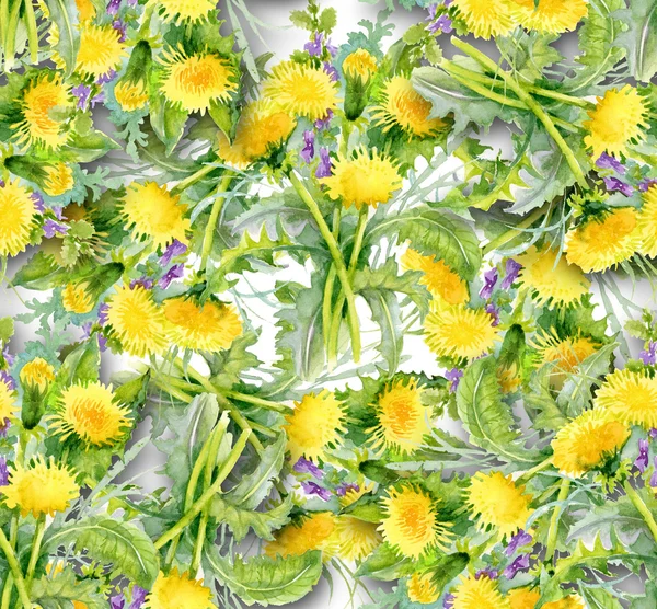 Dandelion background — Stock Photo, Image