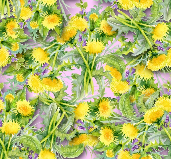 Dandelion background — Stock Photo, Image