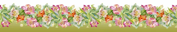 Modello di Alstroemeria — Foto Stock