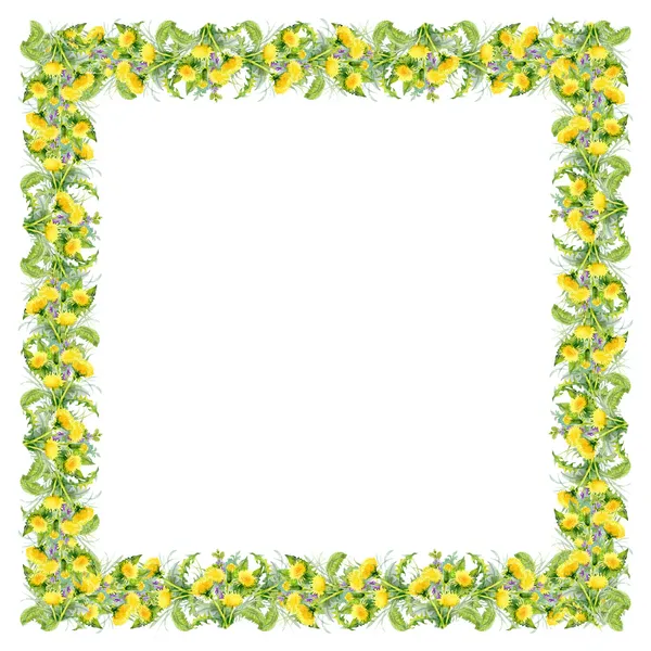 Kleurrijke paardebloem frame — Stockfoto