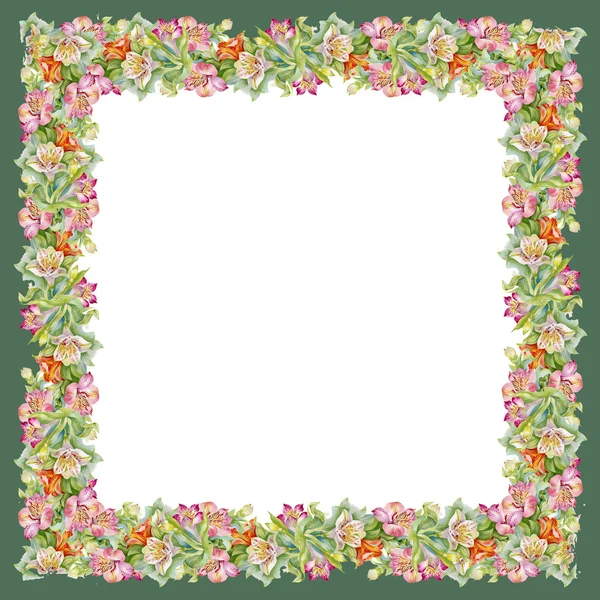 Colorful alstroemeria frame — Stock Photo, Image