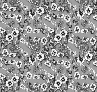 Petunya çiçek arka plan.