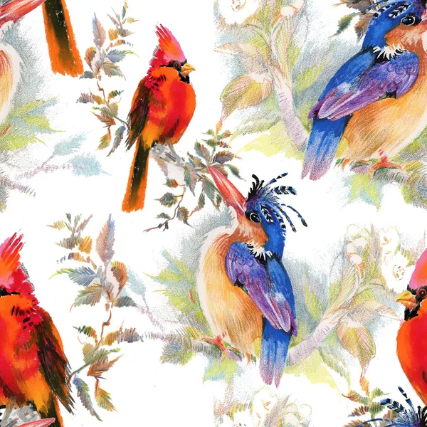 Kuşlar ve çiçekler pürüzsüz desen — Stok fotoğraf