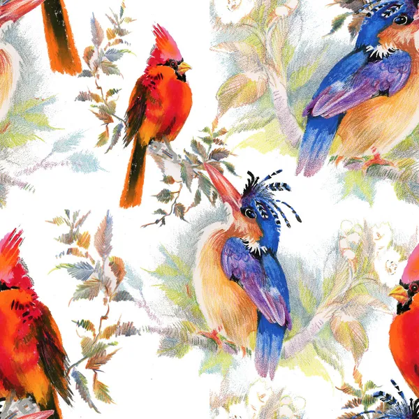 Birds and flowers seamless pattern — Stock Photo, Image