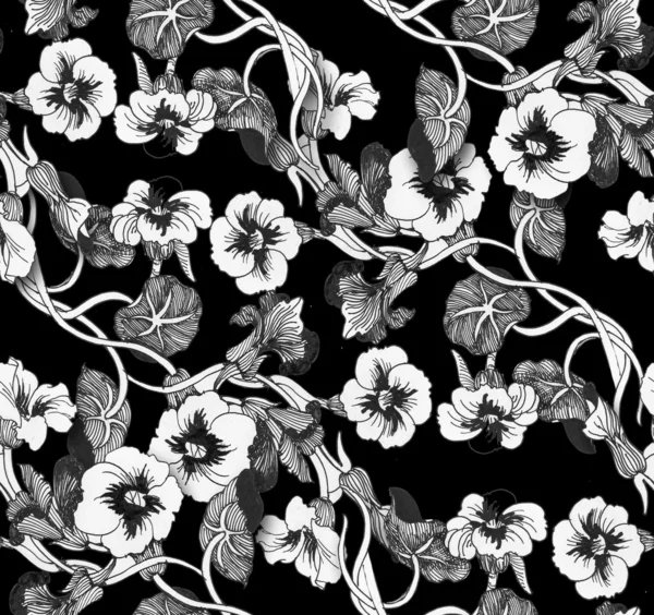 ペチュニアの花の背景. — ストック写真