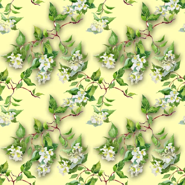 Spring branch  background — Stock Photo, Image