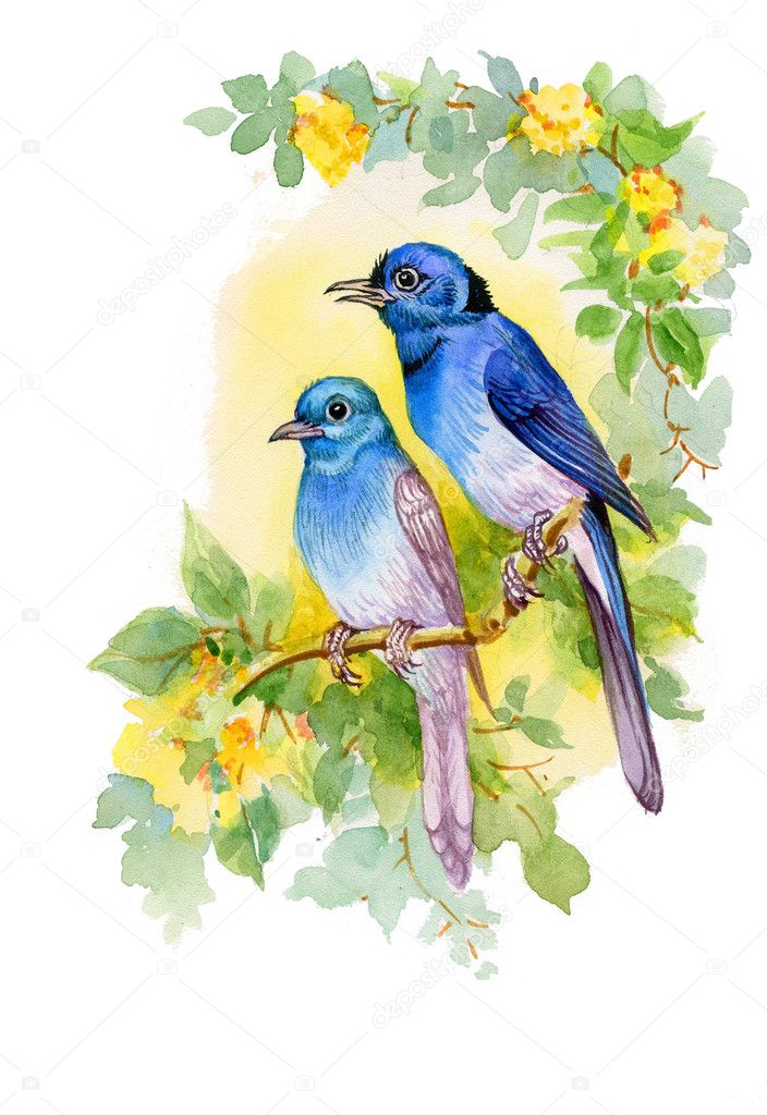 Drawing of bright birds on branch
