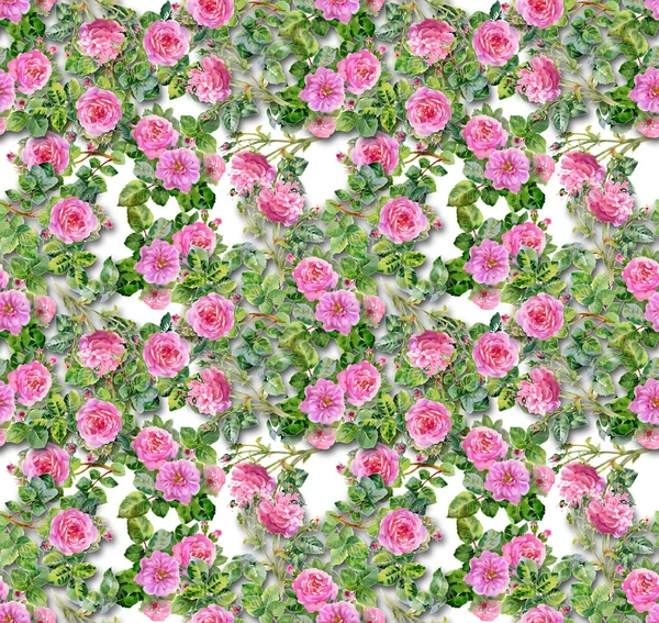 Roze rozen patroon — Stockfoto
