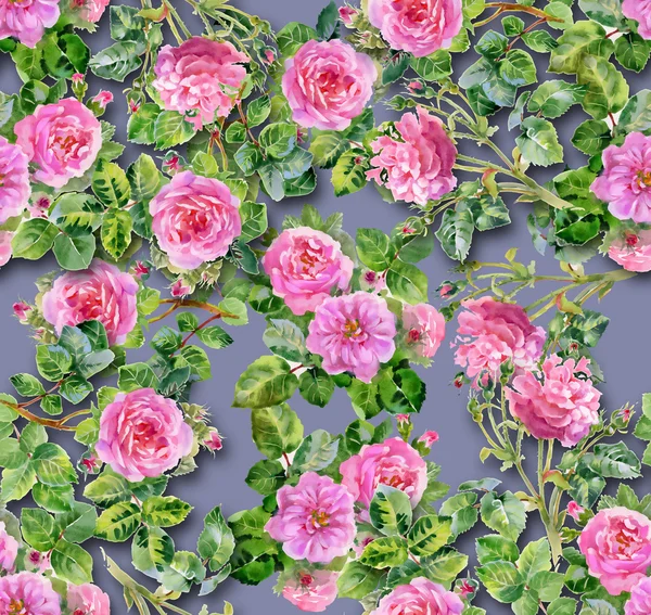 Rosa rosa padrão de rosas — Fotografia de Stock