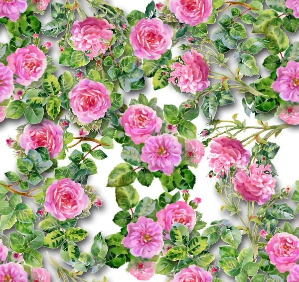 Rózsaszín rózsa minta — Stock Fotó