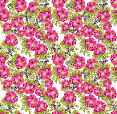 Peonies kelebekler ile