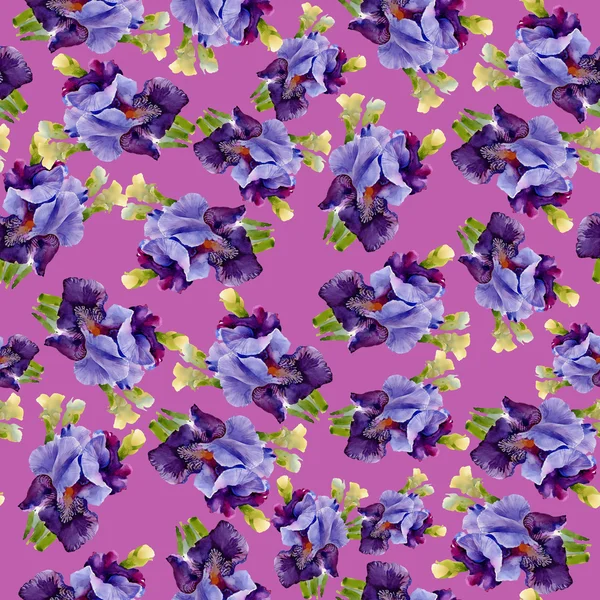 Irises pattern — Stock Photo, Image