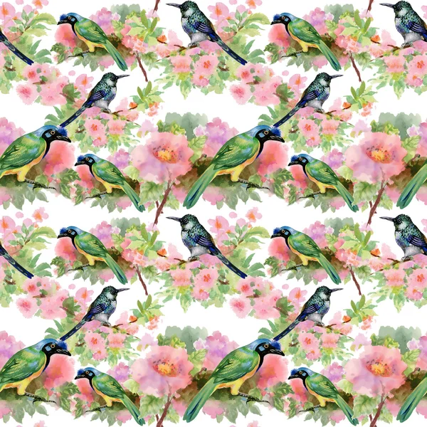 Flowers and birds — Stock Photo, Image