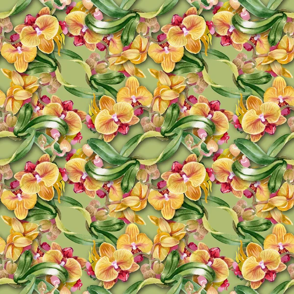 Akvarell orkidéer — Stockfoto