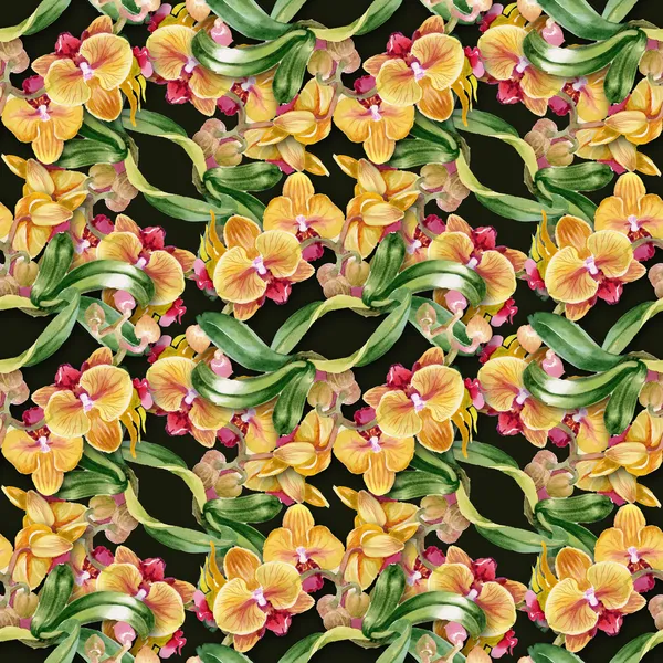 Aquarel orchideeën — Stockfoto