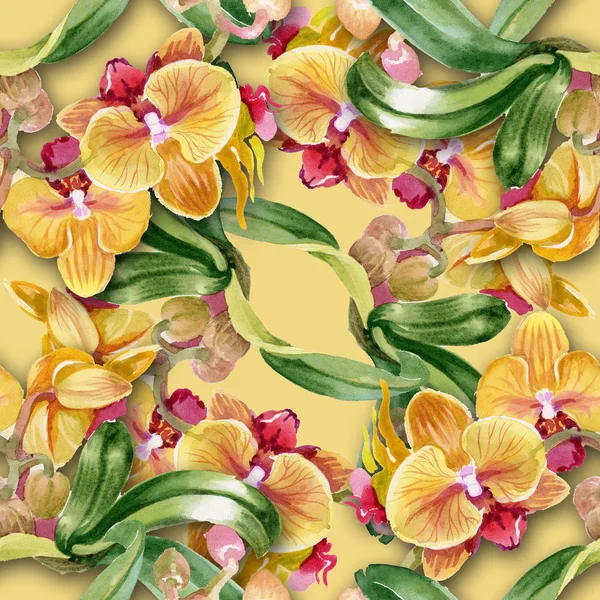 Aquarell-Orchideen — Stockfoto