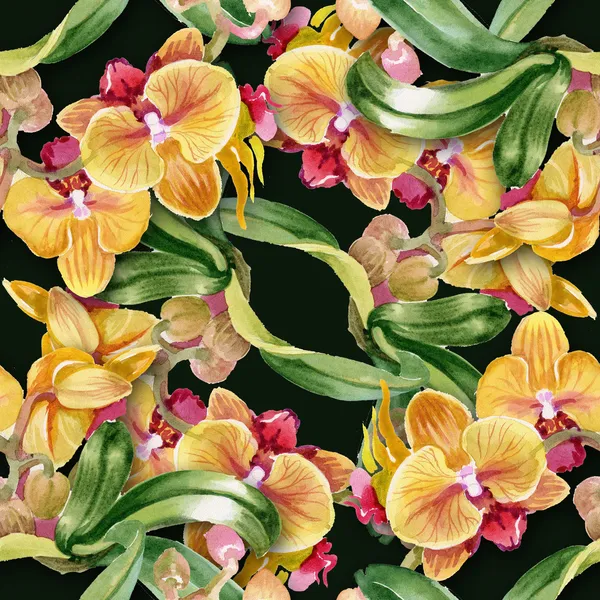 Suluboya orkide — Stok fotoğraf