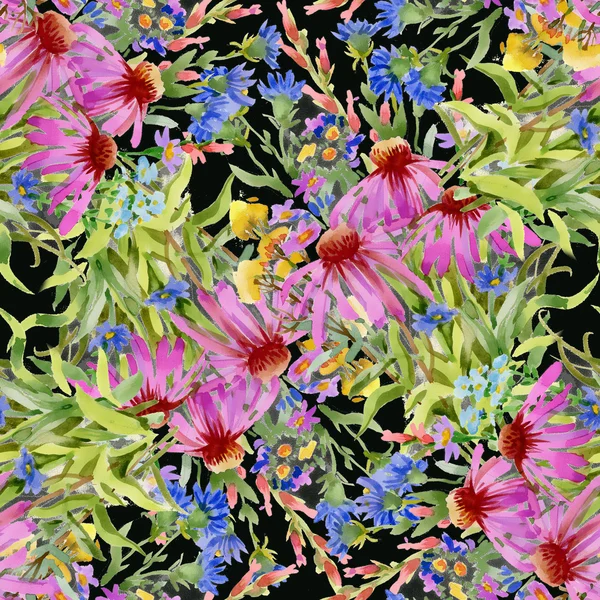 Echinacea and cornflowers pattern — Stock Photo, Image
