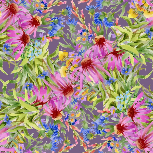 Echinacea e cornflowers padrão — Fotografia de Stock