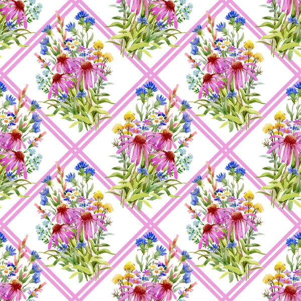 Echinacea and cornflowers pattern — Stock Photo, Image