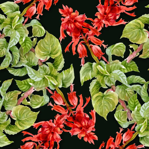 A.植物背景 — 图库照片