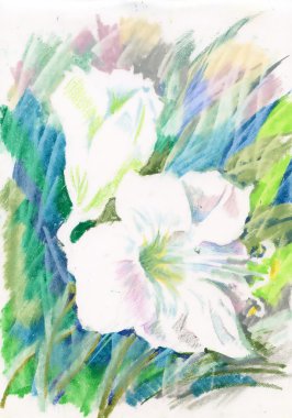 Bahar kır çiçekleri