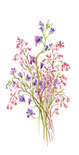 Acquerello fiori sfondo — Foto Stock