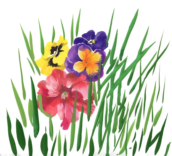 Våren pansy blommor — Stockfoto