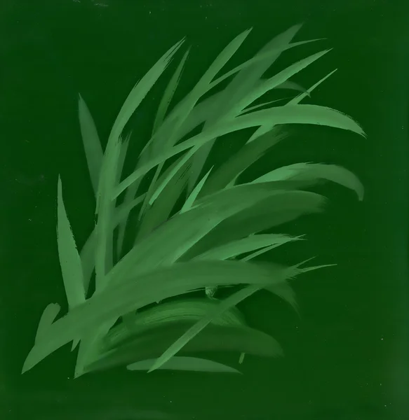Зеленая летняя трава — стоковое фото