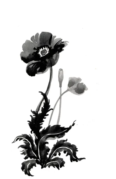 Aquarel poppy bloemen — Stockfoto