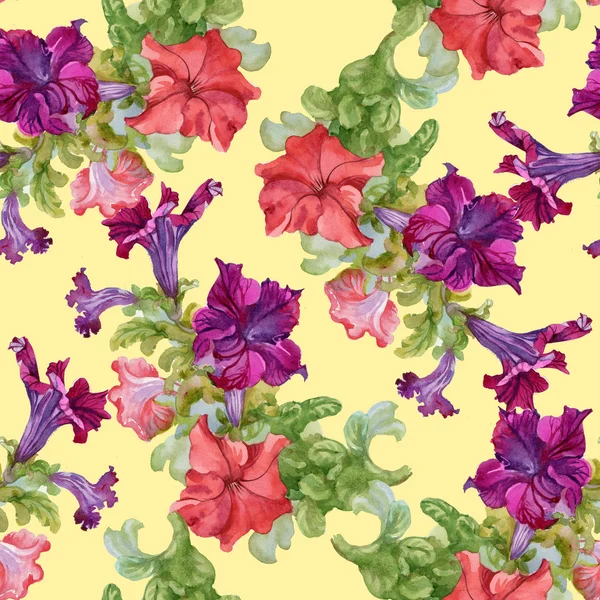 Wilde bloemen patroon — Stockfoto