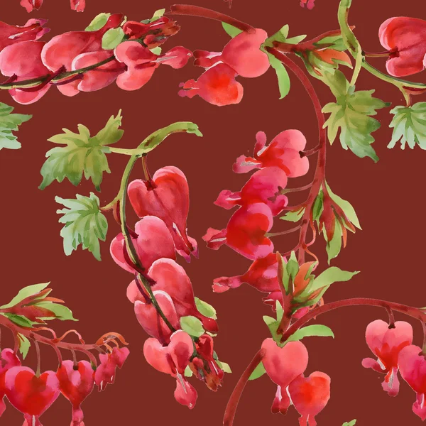Zigokaktus Schlumbergera flowers — Stock Image Zigokaktus Schlumbergera flowers Stock Photo