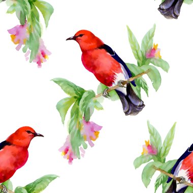 kuşlar ile dal ve kır çiçekleri