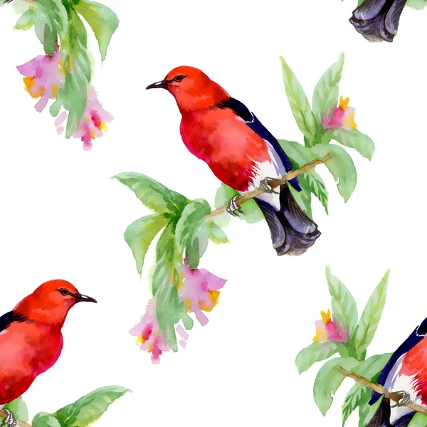 Uccelli su ramoscello e fiori selvatici — Foto Stock