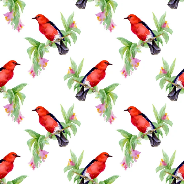 Птицы на веточке с полевыми цветами — стоковое фото