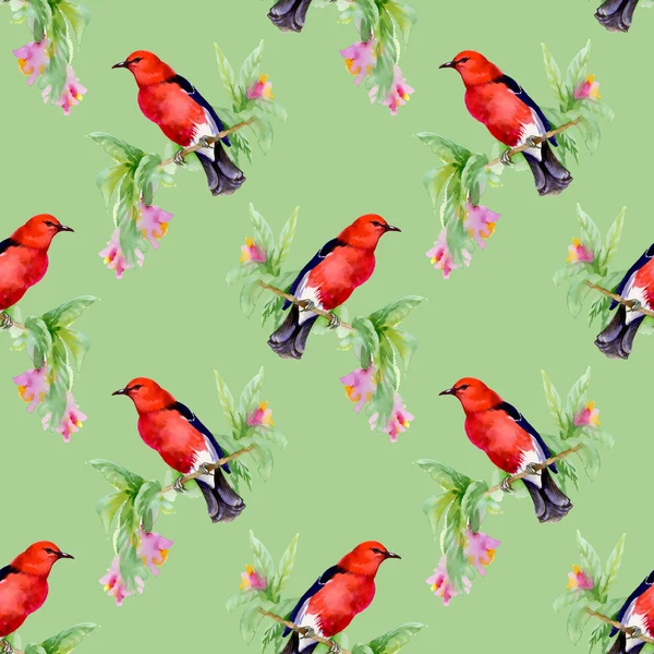 Vogels op takje en wilde bloemen — Stockfoto