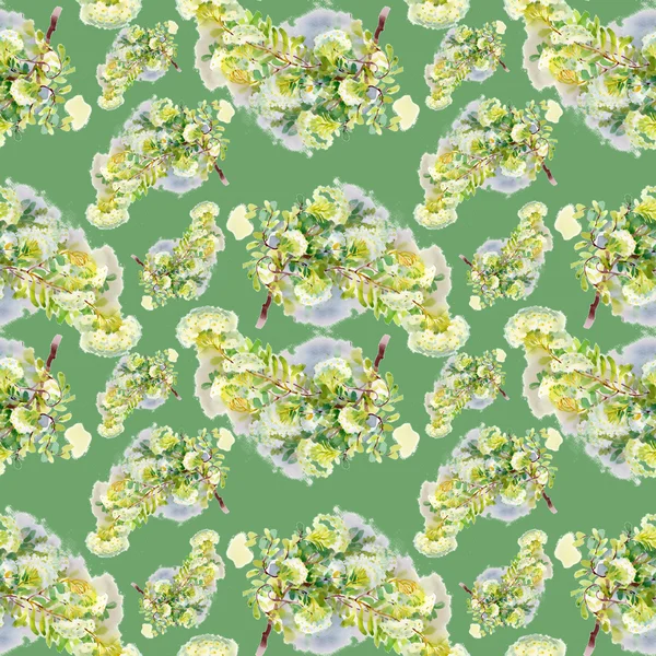 Blooming rowan branch pattern — Stock Photo, Image