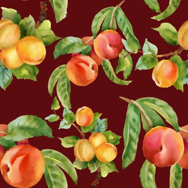 kayısı ve şeftali