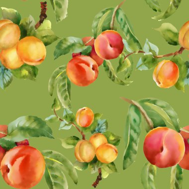 kayısı ve şeftali