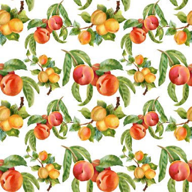 kayısı ve şeftali