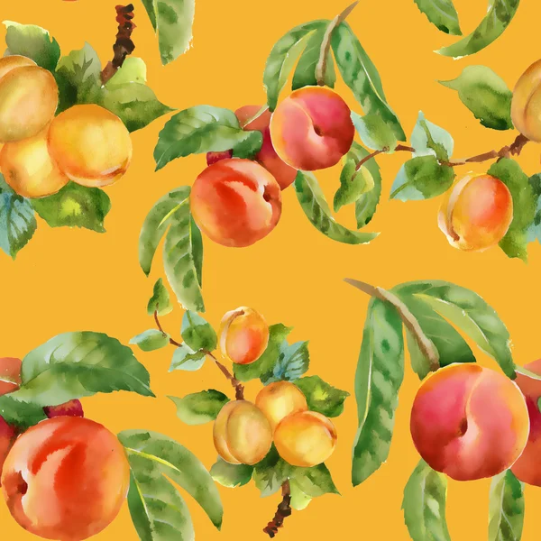 Aprikosen und Pfirsiche — Stockfoto