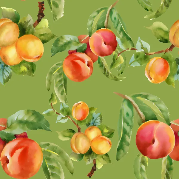 Aprikoser och persikor — Stockfoto