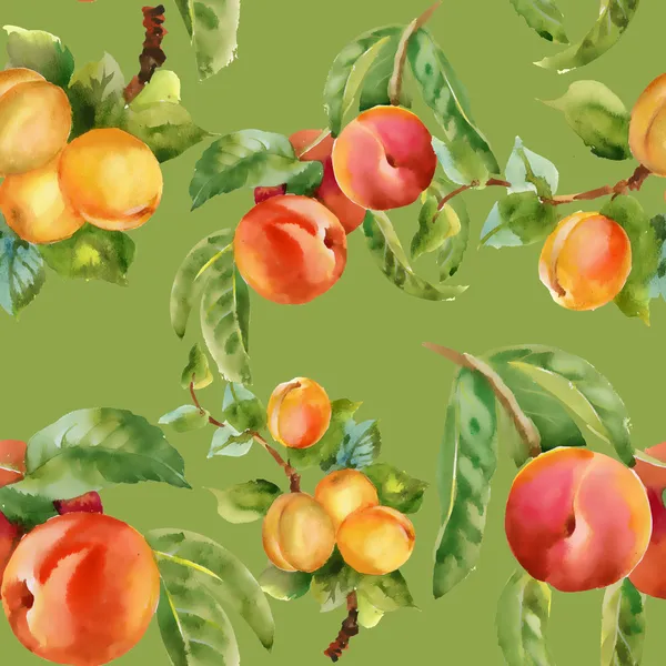 Apricots and peaches — Stock Photo, Image