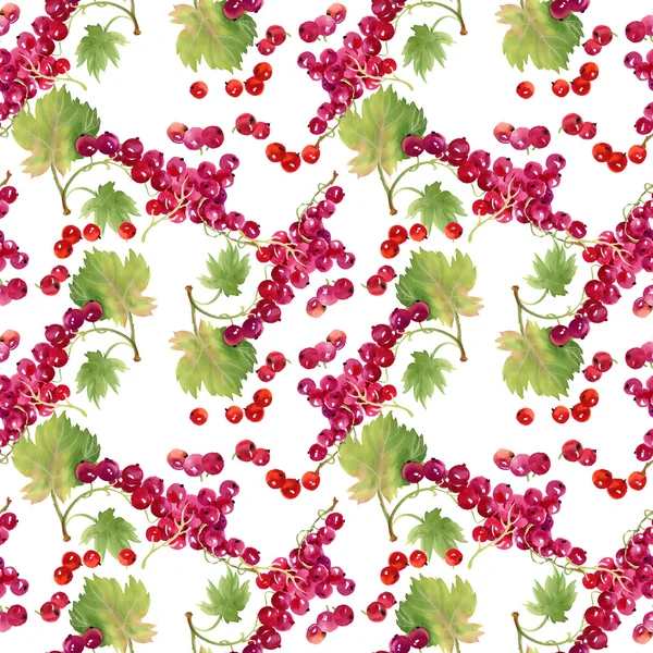 Viburnum background — Stock Photo, Image