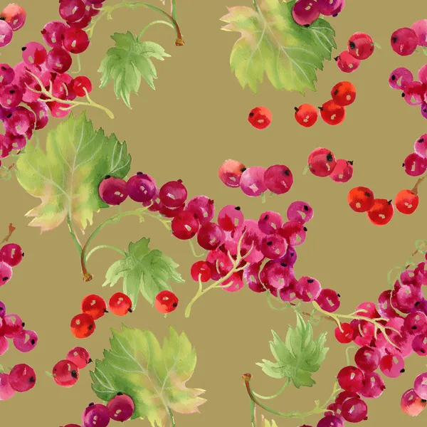 Viburnum background — Stock Photo, Image