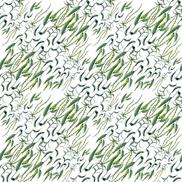 Grass pattern — Stock Photo, Image