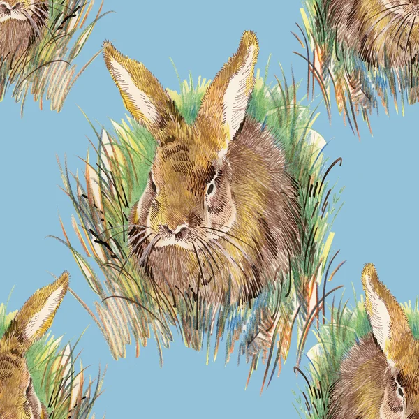カラフルなウサギのパターン — ストック写真