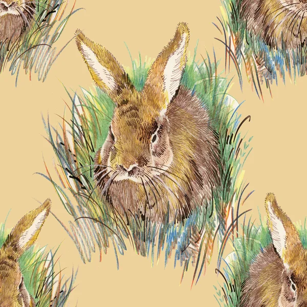 Цветной рисунок кролика — стоковое фото