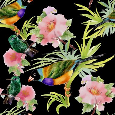 Tropikal Kuşlar