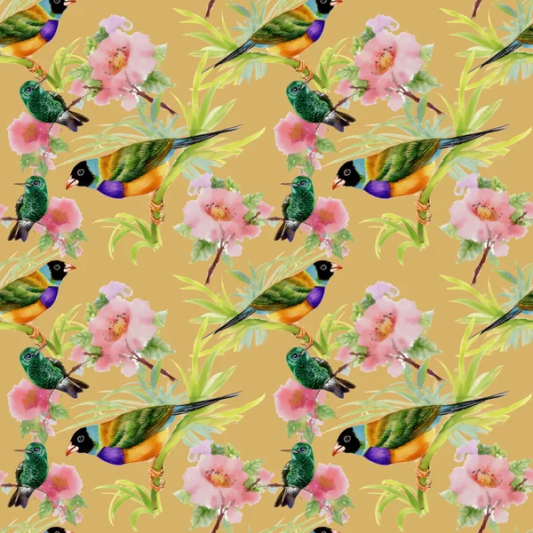 Tropical birds — Stock Photo, Image